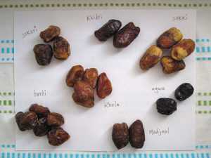 Varieties of Dates